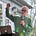 Bill Gallagher's avatar