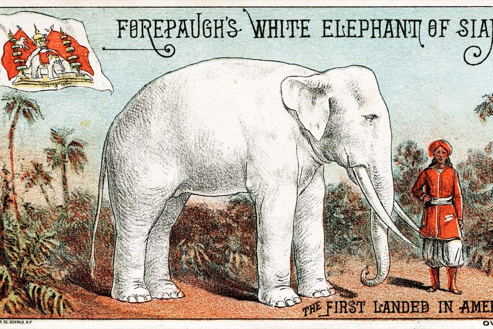 Why Do We Say White Elephant? Origin, Meaning, Useless Gift | HistoryExtra