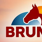 Capital Flows and Asset Markets