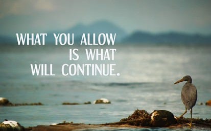 Inspirational Quotes What You Allow What Stock Photo 733733857 | Shutterstock Inspirational Quotes What You Allow What Stock Photo 733733857 | Shutterstock