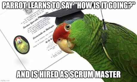 Best Funny Scrum Master Memes - 9GAG