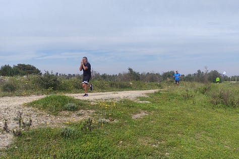 Views from the course, showing mostly wide paths and some narrower ones surrounded by grass