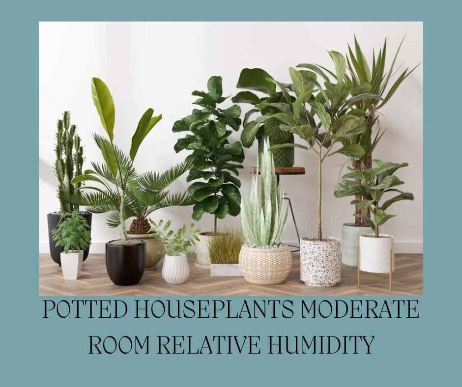 6 Key Benefits of Houseplants Backed By Science (with Quick-win Strategies)