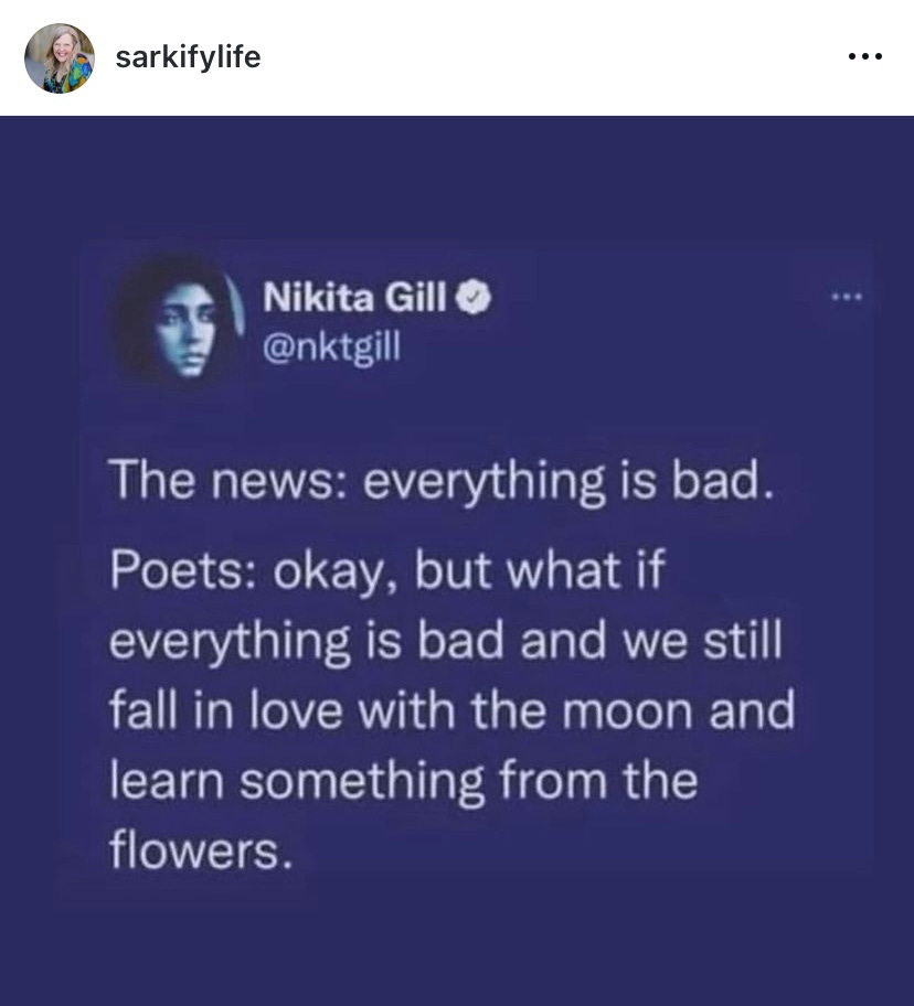 Screen cap of an instagram post about poets finding beauty in a difficult world