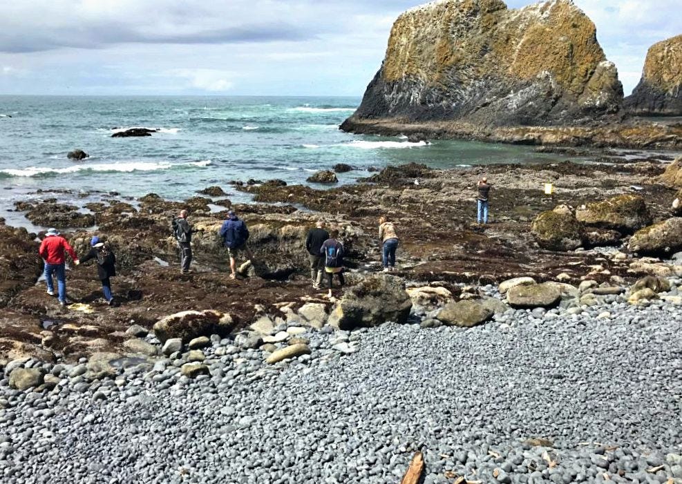 Cobble Beach, oregon - tide pools