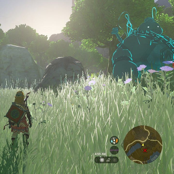Screen grabs featuring grass from The Legend of Zelda: The Tears of the Kingdom video game.
