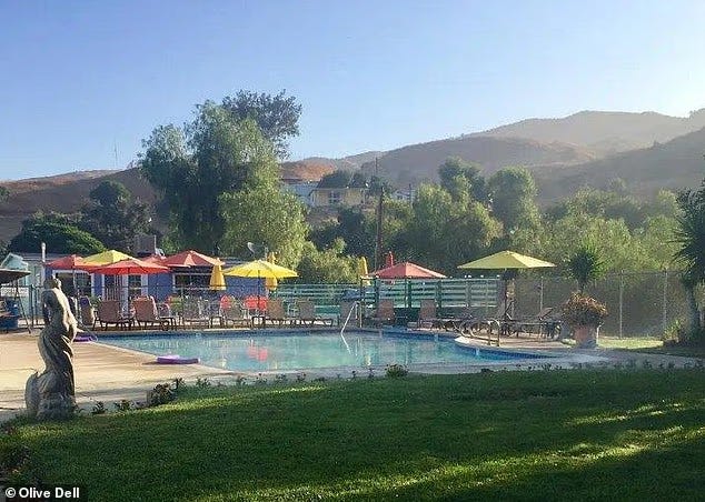 Outdoor swimming pool at Olive Dell Ranch, surrounded by colorful umbrellas and lounge chairs, with green trees and hills in the background. A stone statue stands near the pool’s edge. Outdoor swimming pool at Olive Dell Ranch, surrounded by colorful umbrellas and lounge chairs, with green trees and hills in the background. A stone statue stands near the pool’s edge.