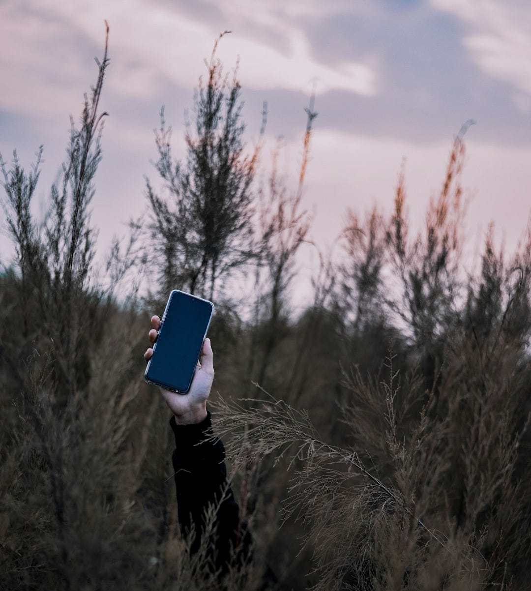 person raising phone on forest person raising phone on forest