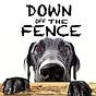 Down Off The Fence's avatar