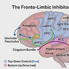 Understanding the fronto-limbic inhibitory network.