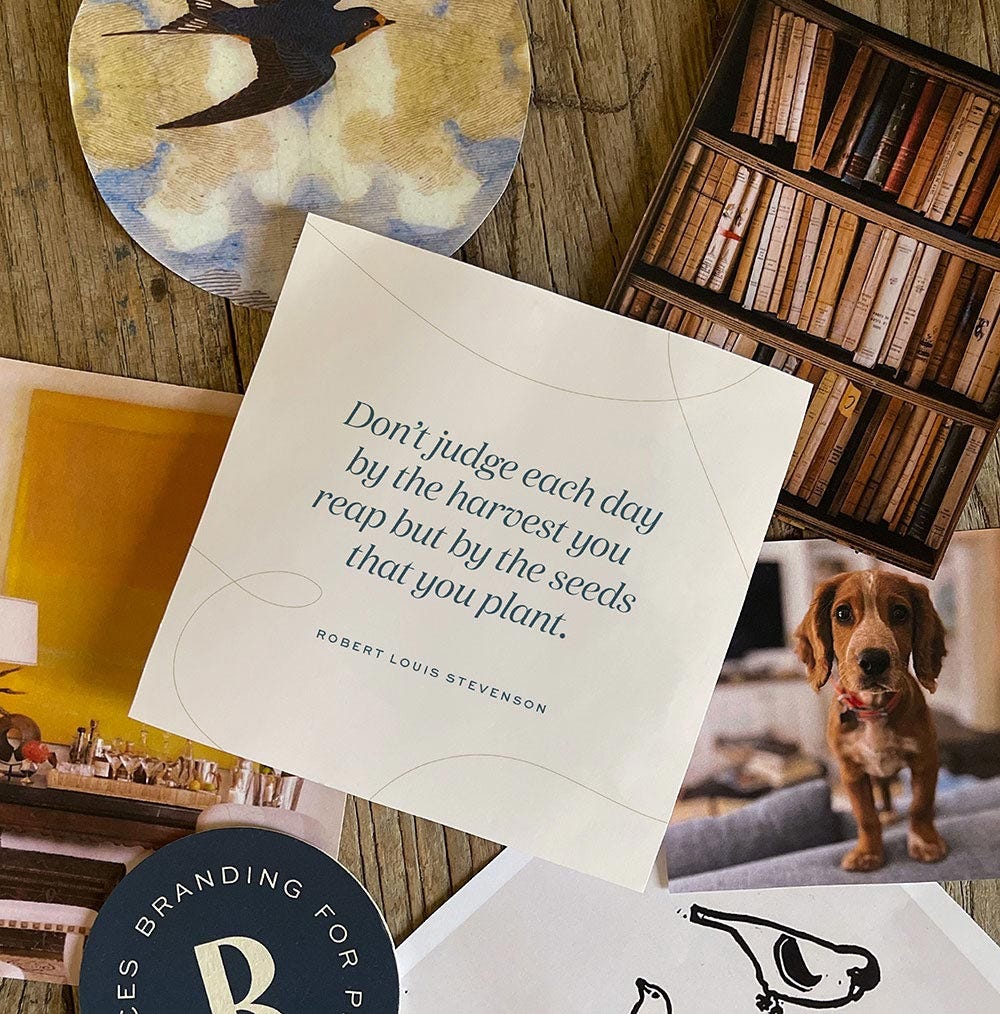 Don't judge each day by the harvest you reap but by the seeds that you plant. - Robert Louis Stevenson