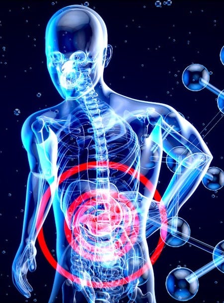 a 3d image of a human with a red circle in his stomach a 3d image of a human with a red circle in his stomach