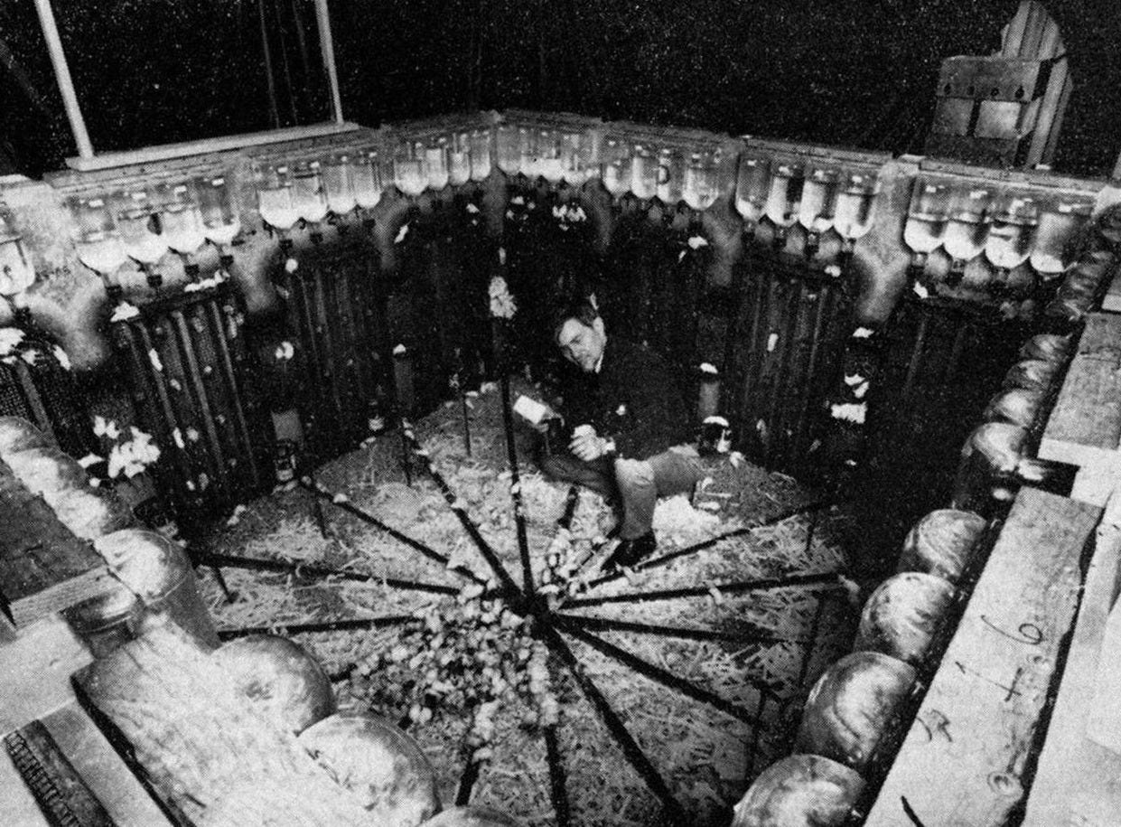 Photo of John Calhoun crouches within his rodent utopia-turned-dystopia Photo of John Calhoun crouches within his rodent utopia-turned-dystopia