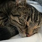Oliver's avatar