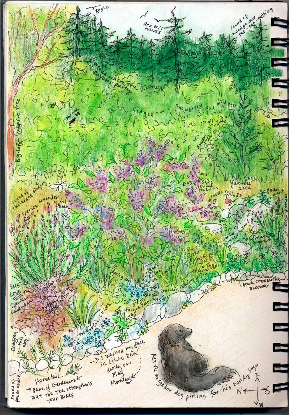 Nature journal, left page