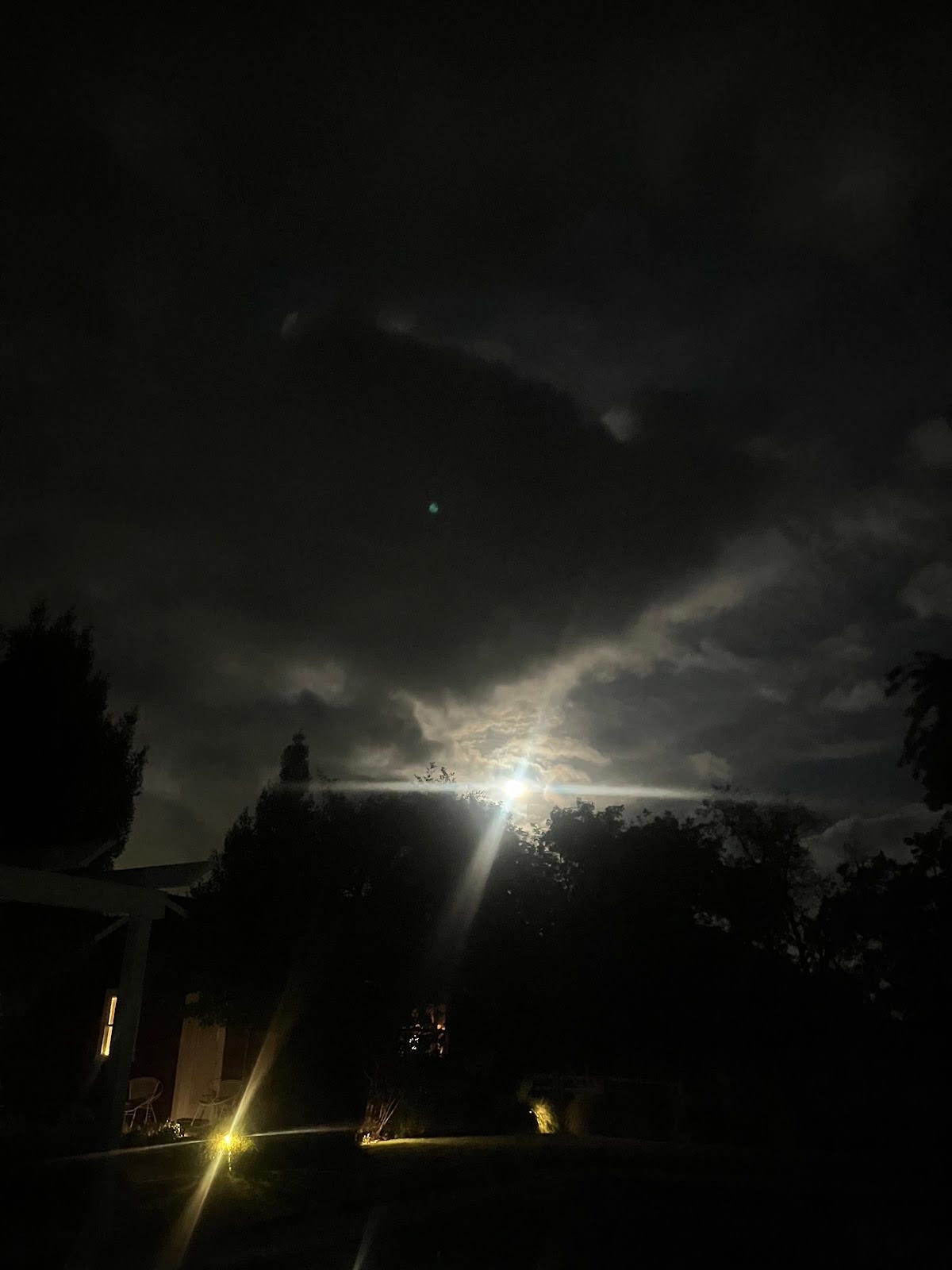 f32c1e15-2942-493f-ad23-b44084ce8b79_1200x1600.jpeg