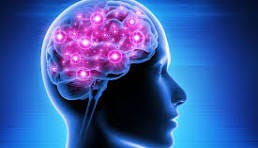 New Research Challenges Long-Held Views on Brain Processing