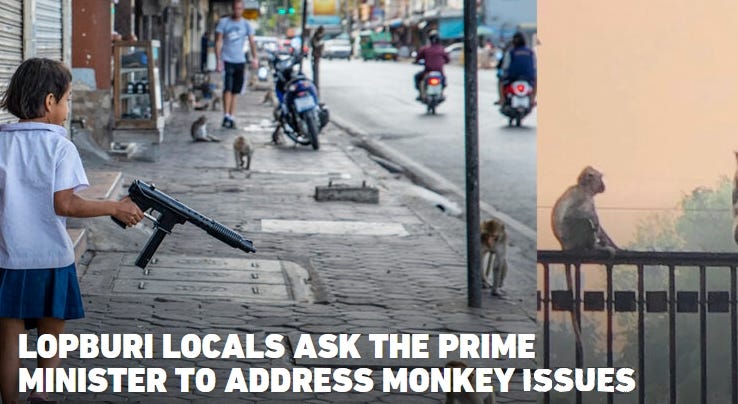 lopburimonkeysgovernment12.jpg