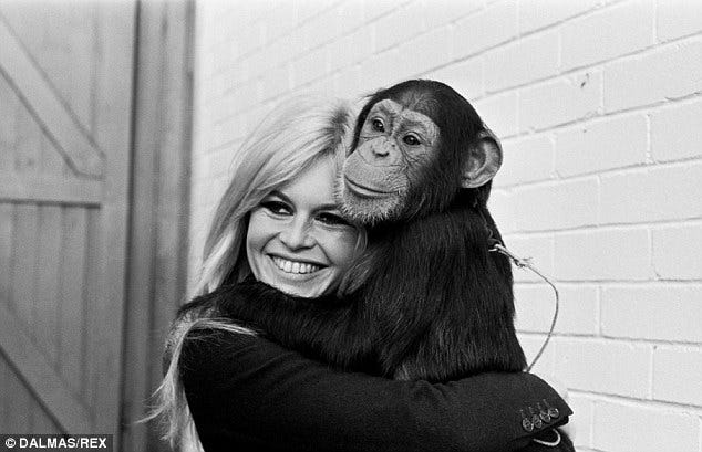 Brigitte Bardot: 'I've been a victim of my image' | Daily Mail Online