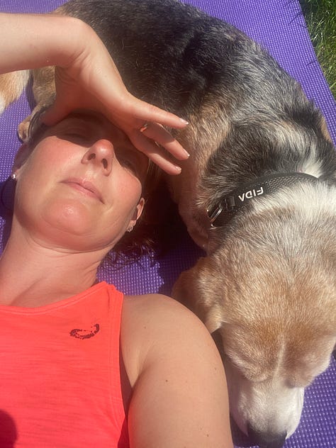 strength training with two beagles helping