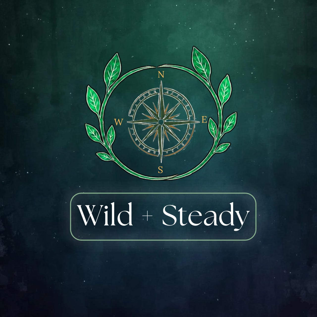 Wild + Steady logo