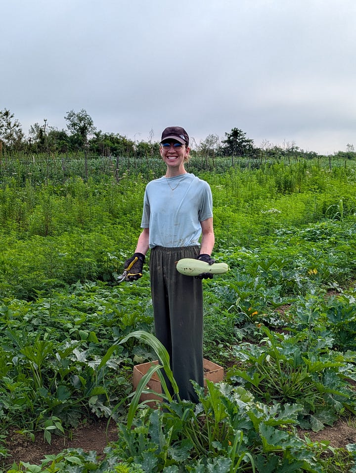 Working in the field