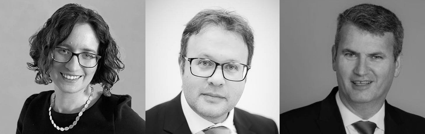 Beth Grossman, Daniel Berke and Mark Lewis