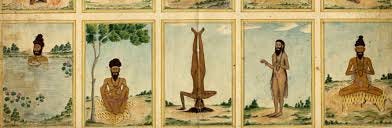 Nosara Yoga Institute Nosara Yoga Institute