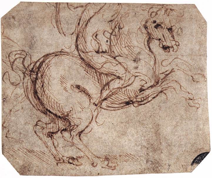 Delicate ink and chalk studies of a horse from several angles, muscles carefully drawn Delicate ink and chalk studies of a horse from several angles, muscles carefully drawn