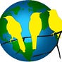 Canary Covid / Canary Climate's avatar