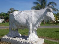 Ubre Blanca