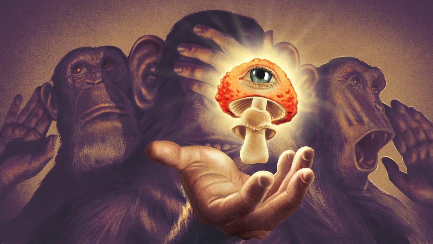 Stoned Ape Theory: Magic Mushrooms and Us | by Tristan Mueller | Medium