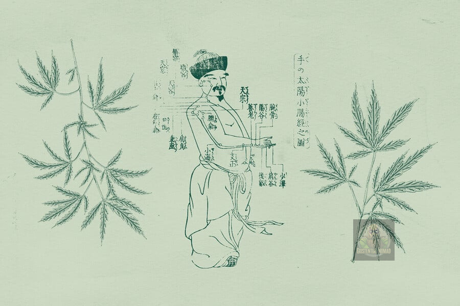 This is a historical-style, monochromatic green illustration that appears to be from a traditional East Asian medical or botanical text. The image features three main elements: A Central Figure: In the middle is a line drawing of an East Asian man, depicted as an anatomical or acupuncture chart. Lines point to specific locations on his head, arm, and torso, which are labeled with Chinese or Japanese characters. The text on the right identifies the chart as related to the "Hand Taiyang Small Intestine Meridian" (手の太陽小腸経之圖), a concept in traditional acupuncture. Two Plant Illustrations: Flanking the central figure on the left and right are detailed drawings of the cannabis plant, easily recognizable by its iconic serrated, palmate leaves. Overall, the composition juxtaposes a diagram of human anatomy according to traditional medicine with illustrations of the cannabis plant, suggesting a connection between the two, likely concerning the plant's medicinal uses. This is a historical-style, monochromatic green illustration that appears to be from a traditional East Asian medical or botanical text. The image features three main elements: A Central Figure: In the middle is a line drawing of an East Asian man, depicted as an anatomical or acupuncture chart. Lines point to specific locations on his head, arm, and torso, which are labeled with Chinese or Japanese characters. The text on the right identifies the chart as related to the "Hand Taiyang Small Intestine Meridian" (手の太陽小腸経之圖), a concept in traditional acupuncture. Two Plant Illustrations: Flanking the central figure on the left and right are detailed drawings of the cannabis plant, easily recognizable by its iconic serrated, palmate leaves. Overall, the composition juxtaposes a diagram of human anatomy according to traditional medicine with illustrations of the cannabis plant, suggesting a connection between the two, likely concerning the plant's medicinal uses.