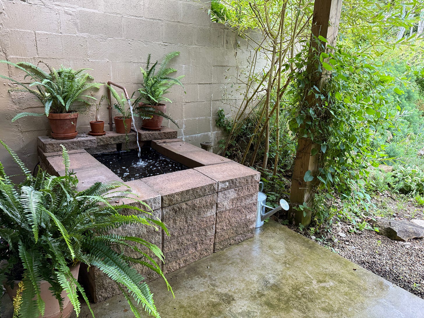 New fountain in the Ruin garden - delightful sound!