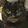 John Blackwillow.'s avatar