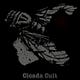 Cicada Cult