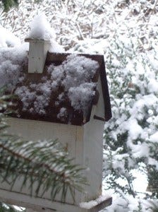 angels among us bird house snow