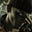 Grave Worm's avatar