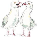 Fishbird Art and Nonsense