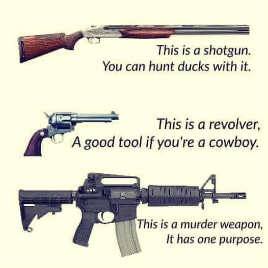 May be an image of text that says 'This is a shotgun. You can hunt ducks with it. This is a revolver, A good tool if you're a cowboy. This is a murder weapon, It has one purpose.'