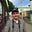 Matthew Kendrick's avatar