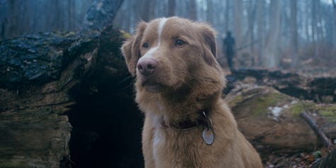Stills from the new release films Tron: Ares, Eleanor the Great and Good Boy.