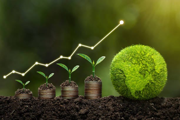 Light bulb is located on soil. plants grow on stacked coins Renewable energy generation is essential for the future. Renewable energy-based green business can limit climate change and global warming. Light bulb is located on soil. plants grow on stacked coins Renewable energy generation is essential for the future. Renewable energy-based green business can limit climate change and global warming. funding stock pictures, royalty-free photos & images