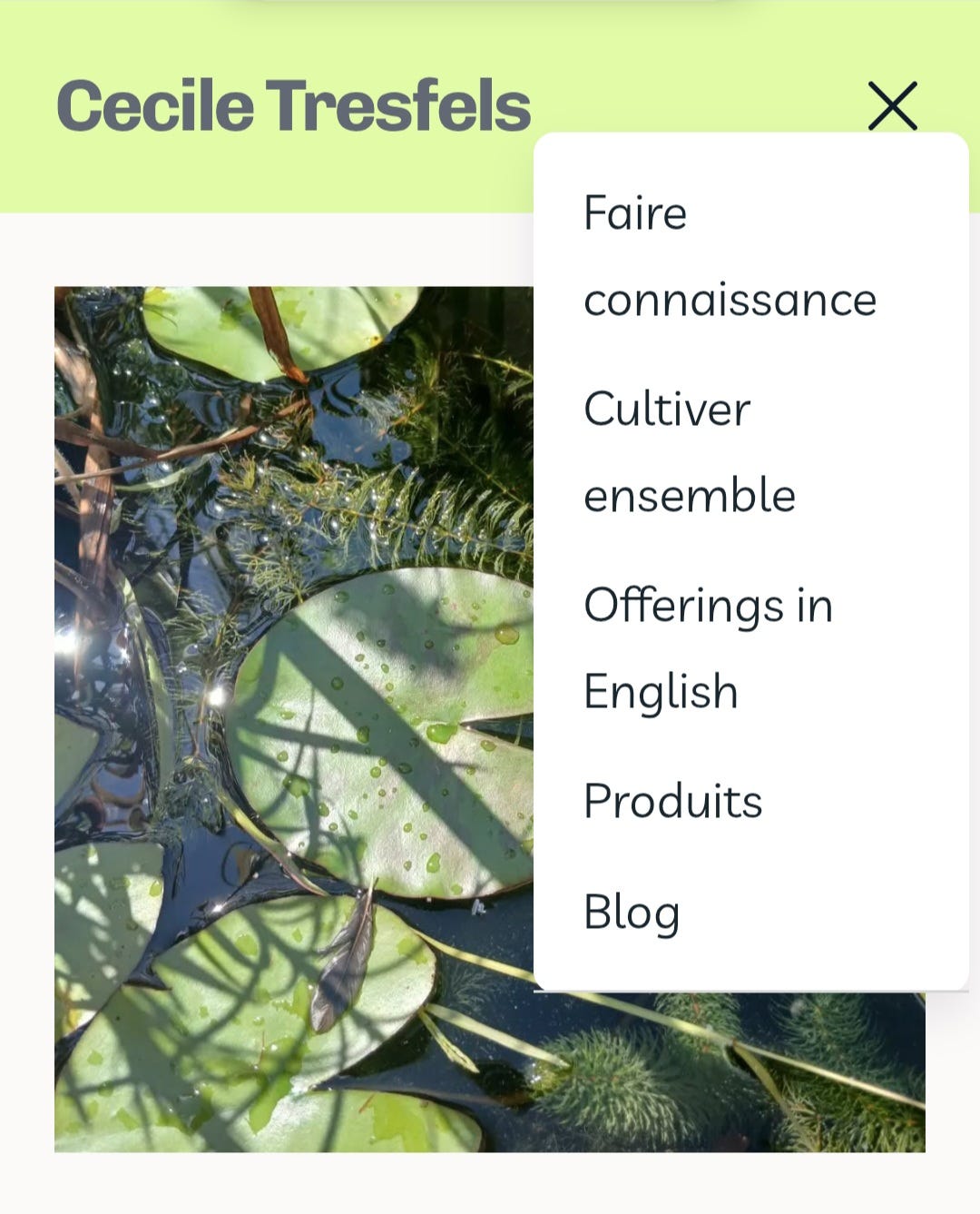 Screenshot de la version portable de la page d'accueil de mon site web. On y voit un bandeau vert clair avec mon nom, la photo de nénuphars dans ma mini-mare au soleil et le menu déroulant sur le côté droit avec les rubriques: faire connaissance, cultiver ensemble, offerings in english, produits et blog.