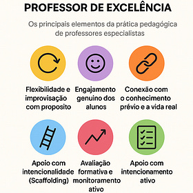 A Prática Pedagógica do Professor de Excelência