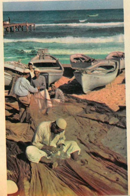 A collection of photographs from 1956 by David Douglas Duncan depicting Palestinian fishermen in Gaza. The images show men hauling their boat ashore after a night at sea, launching the sardine fleet at dusk, selling fresh catch directly on the beach, drying and mending nets, and preparing for another night’s work. These scenes reflect the enduring reliance on the sea for survival, even under the looming pressures of conflict and blockade.