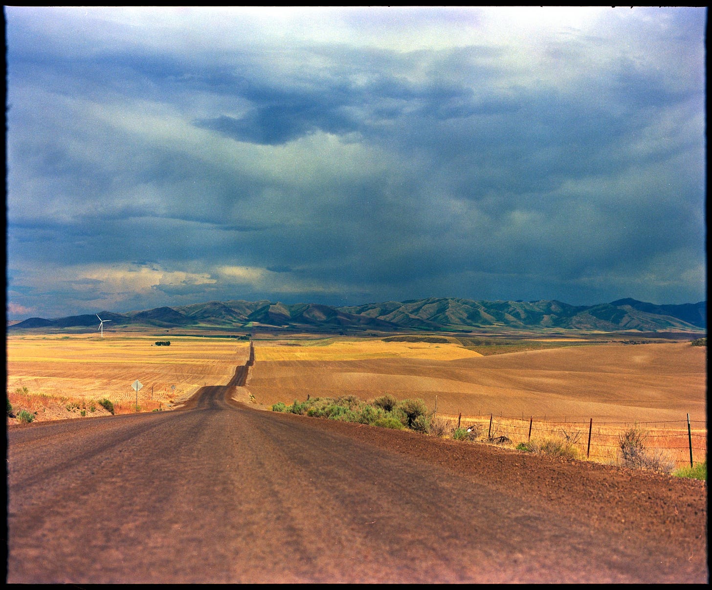 Dirt road leading off into distant mountains. On both sides of the road are bright yellow fields.
