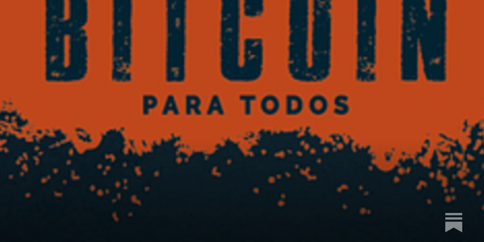 Lançamento do livro Bitcoin Para Todos