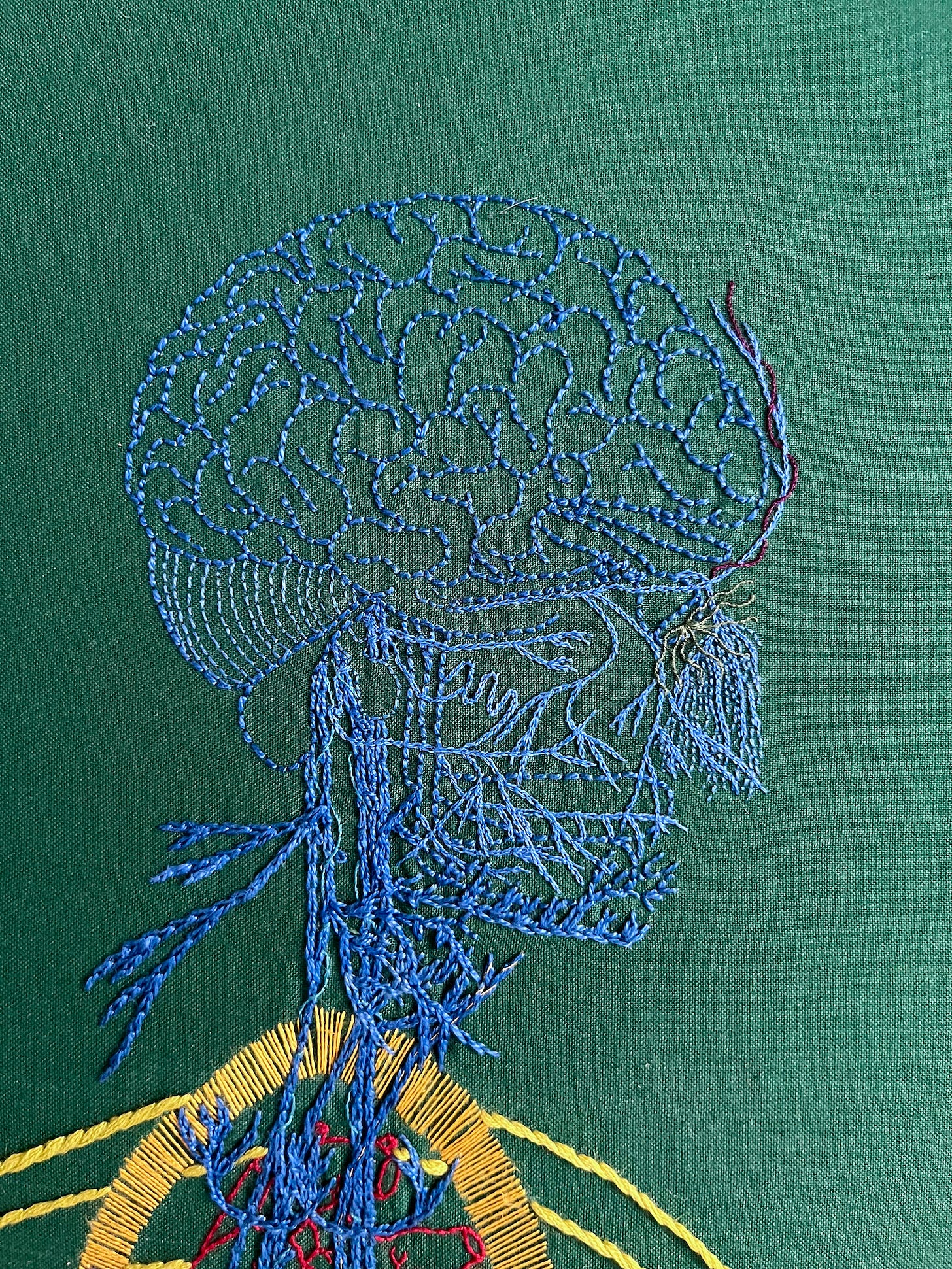An embroidery of a head and neck stitched in blue thread on green cloth. The brain is stitched in back stitch and the vagus nerves in the neck are stitched in chain stitch in perlé thread. The facial nerves are stitched in single strand chain stitch and back stitch. A thin dark purple line entwines the nerve on the forehead and some curved light green lines emanate from the eye.