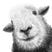 Joanne Draper's avatar